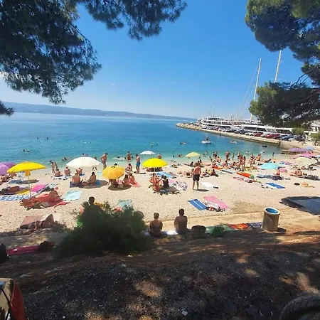 20 Meters From The *