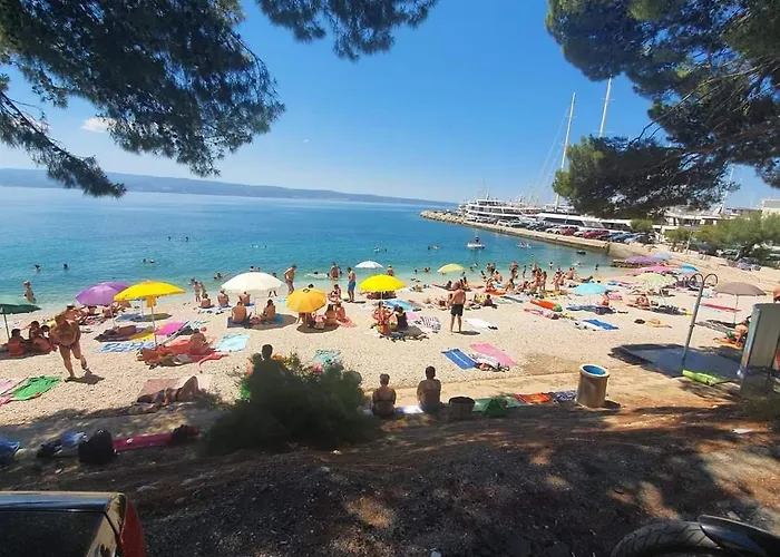 20 Meters From The *